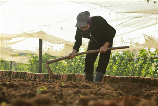 12 de Marzo, IAM e INAEM organizan la jornada: “Mujeres que cultivan el cambio"