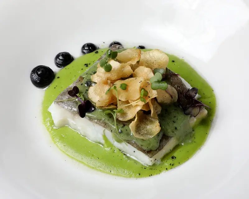 Imagen de Gastropasi&oacute;n en Zaragoza